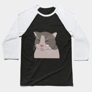 Smiling cat filter Baseball T-Shirt